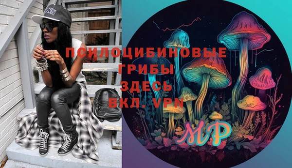 индика Баксан
