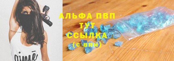 индика Баксан