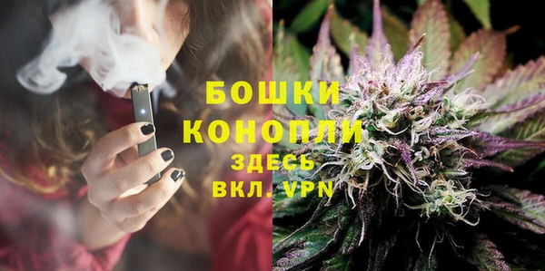 индика Баксан