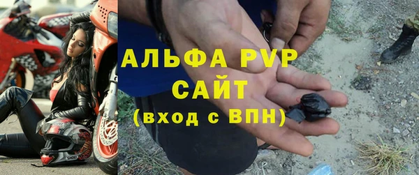 индика Баксан