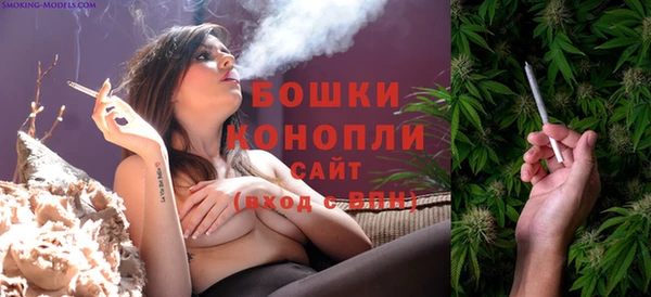 spice Балахна