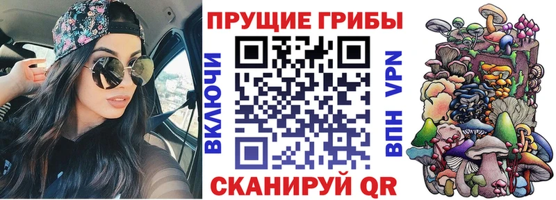 Галлюциногенные грибы Psilocybe  Бор 
