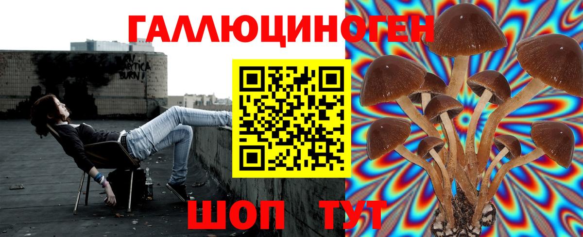 Псилоцибиновые грибы прущие грибы Бор